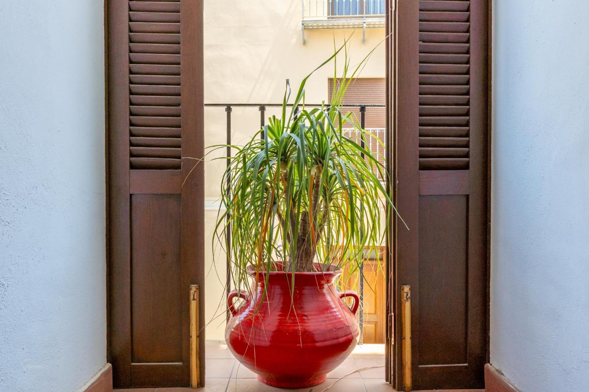 Denia Townhouse Apartment ภายนอก รูปภาพ